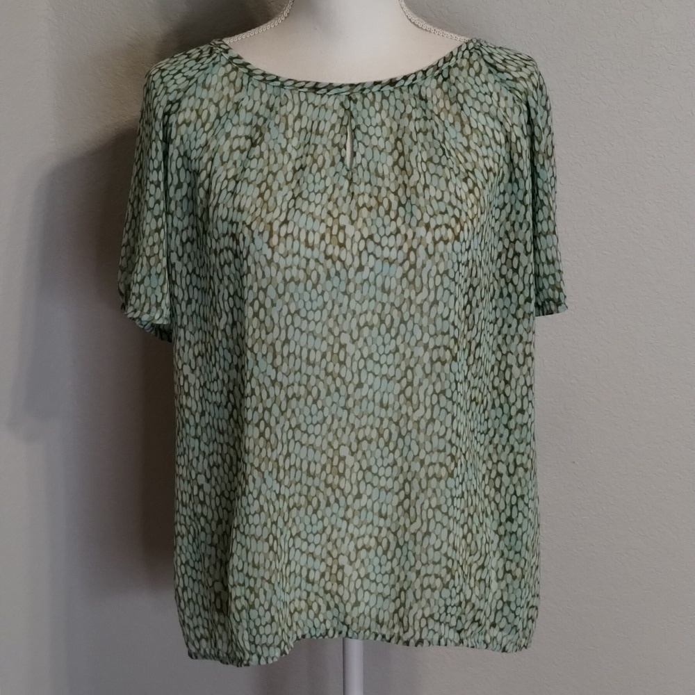CAbi Blouse 602 Size Medium Pebble Blue Green Print Sheer Flowy Shirt Sleeve